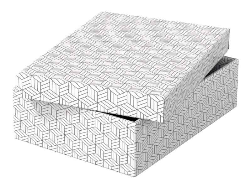Opbevaringsboks Esselte Home Medium Low Hvid - (3 Stk.)